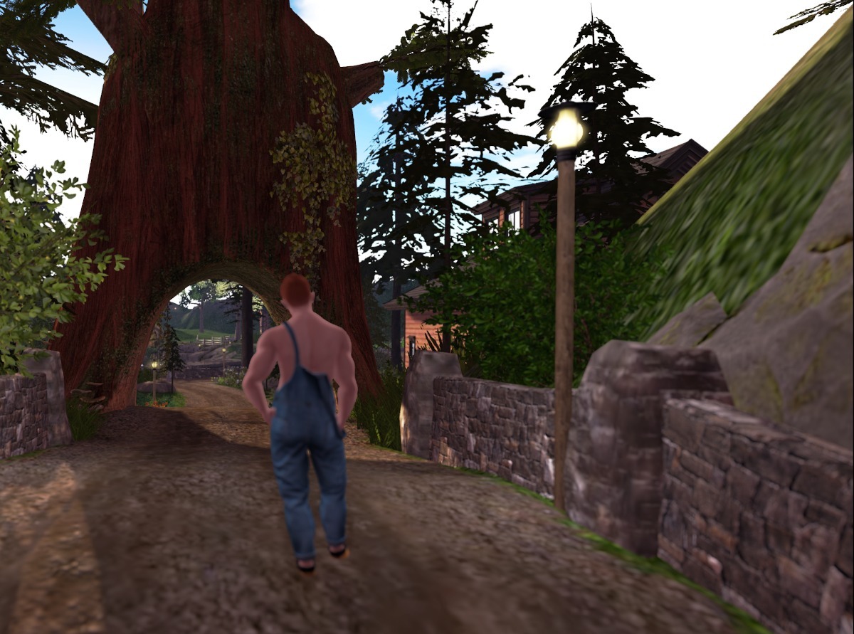 Ricco arrives at the Linden Reveal sim to see the Log Homes