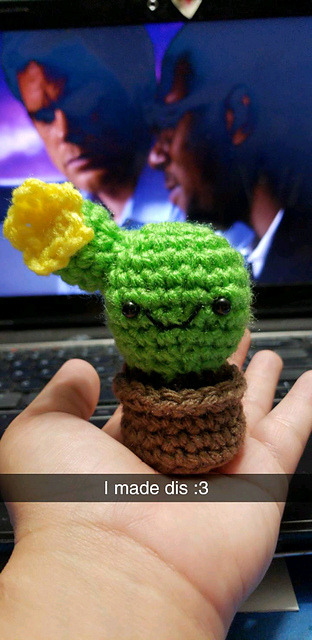 lilwhee:I’ve been busy making little cacti lately. Free Pattern...