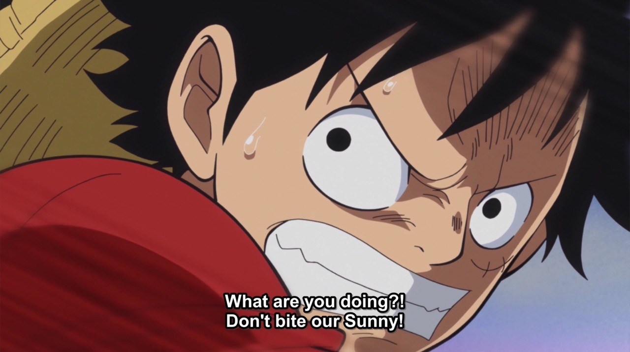 Where shall we go, Luffy? — Luffy – Episode 850 of One Piece This