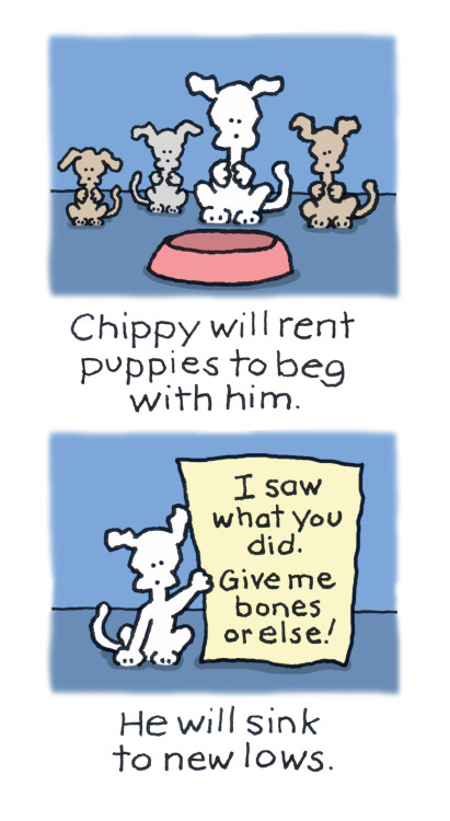 chippythedog