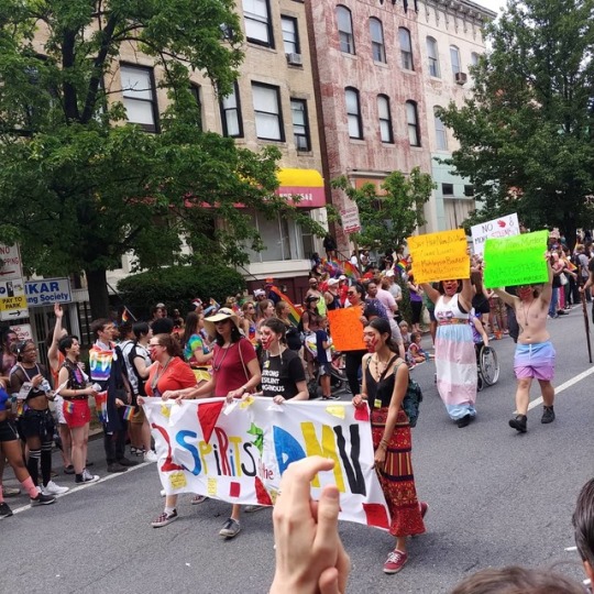 2008 gay pride baltimore porta