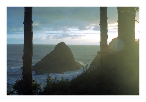 padehler:Florence, Oregonshot with an Olympus OM-1 / CineStill...