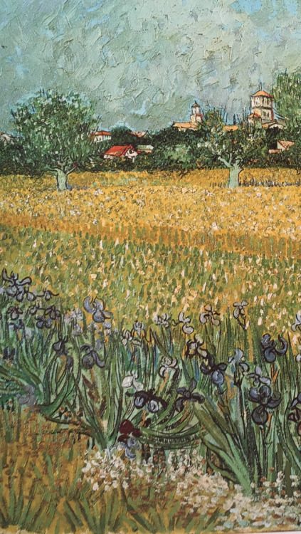 inkstainedleaves:View of Arles with Irises, 1888