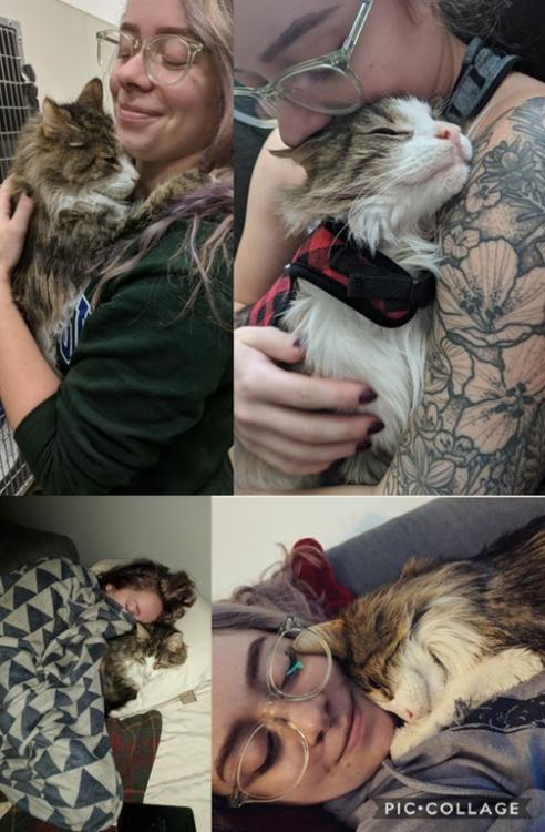 awwww-cute:I adopted the cuddliest old man in existence…...