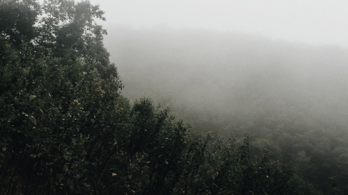 shutter-viibes:Moody vibes.