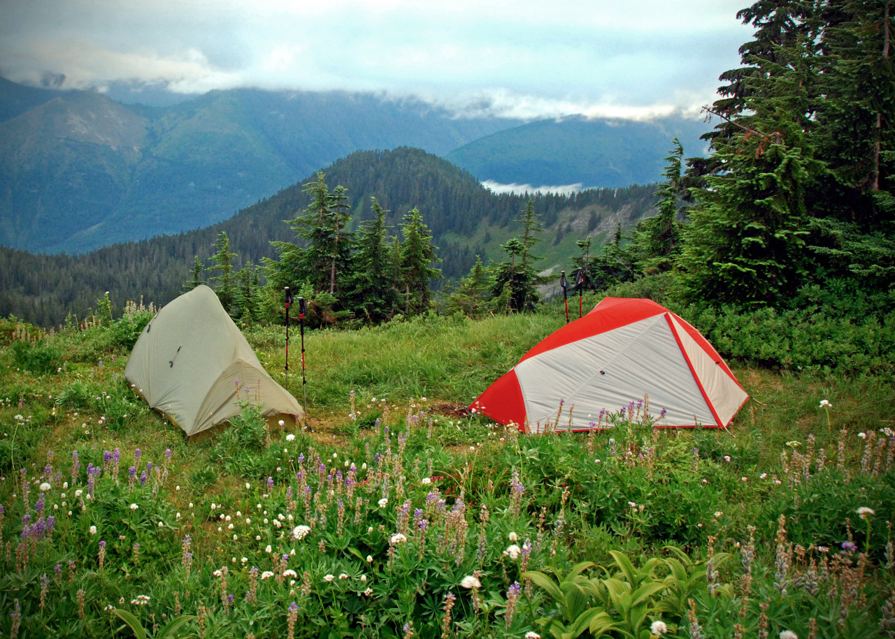 trek wenatchee photos