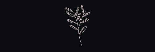 mestizalectora