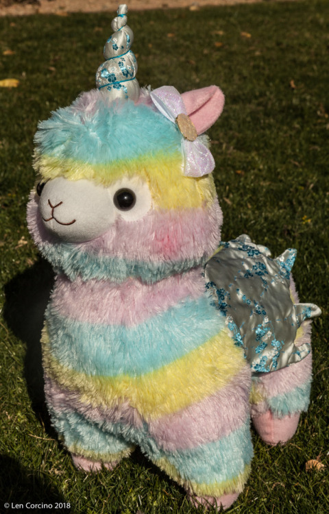 alpacasso unicorn