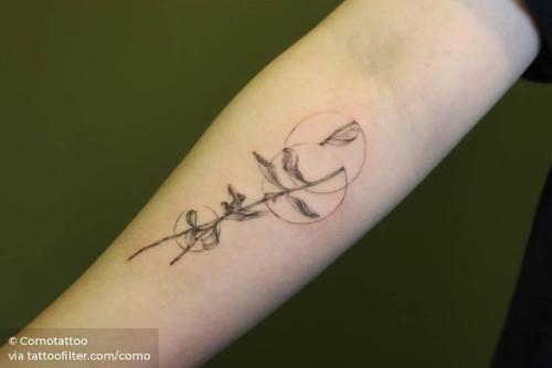 By Comotattoo, done in Seoul. http://ttoo.co/p/30336 branch;single needle;como;facebook;nature;twitter;inner forearm;medium size