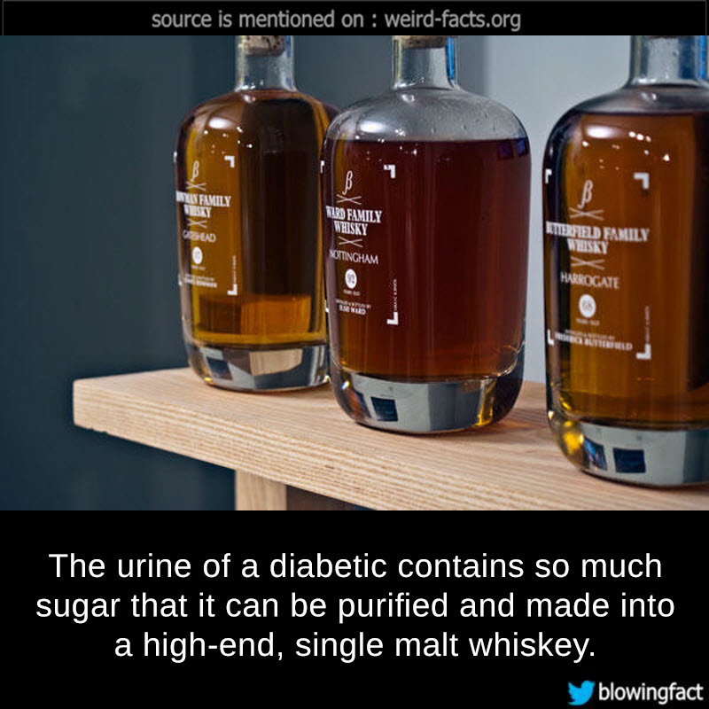 weird-facts-the-urine-of-a-diabetic-contains-so-much-sugar