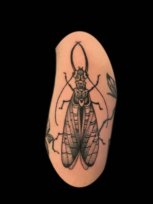 By Barham Williams, done at Fable Tattoo Gallery, Richmond.... barhamwilliams;insect;small;animal;tricep;facebook;blackwork;twitter