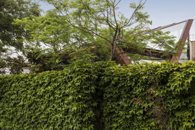 Leaf House / Damian Rogers Architecture