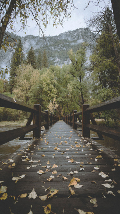 alockscreen:NATURE LOCKSCREENSlike or reblog if you save,...