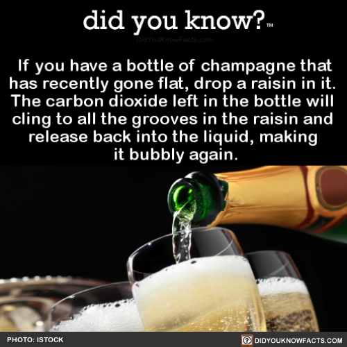 if-you-have-a-bottle-of-champagne-that-has