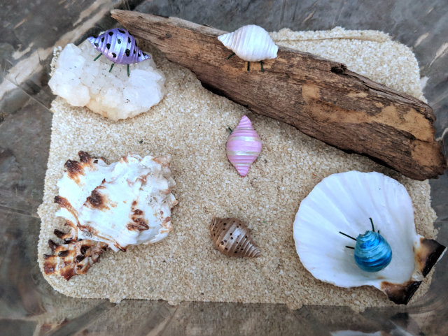 The Doll Ranch — Make a hermit crab habitat for your ...