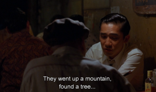 hirxeth:In The Mood For Love (2000) dir. Wong Kar Wai