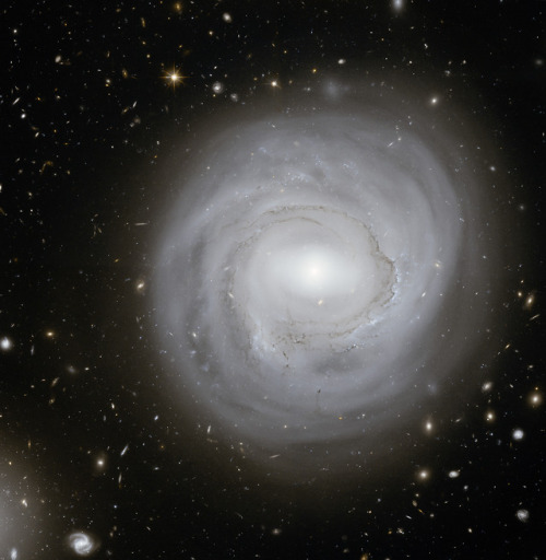 space-pics:Unusual spiral NGC 4921 in the Coma Galaxy Cluster...