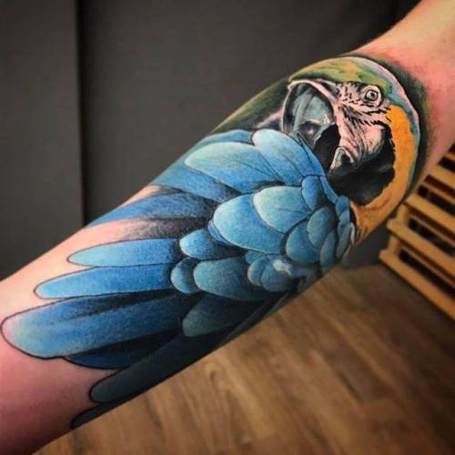 By Moay, done at 48920 Tattoo Shop, Portugalete.... moay;big;animal;parrot;bird;facebook;realistic;forearm;twitter