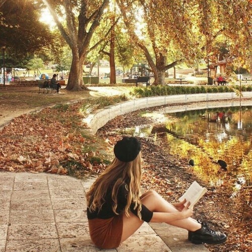 cozyinautumn:Reading a book in the park 