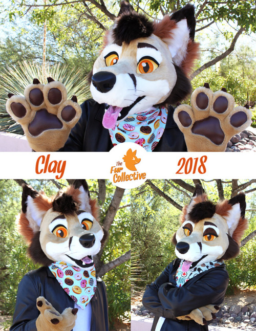 thefurcollective:Clay the Fox-Coyote was a fun artistic...