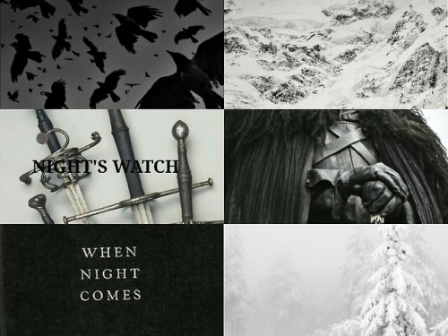 GoT/ASoIaF organizations– Night’ Watch– King’s Guards–...