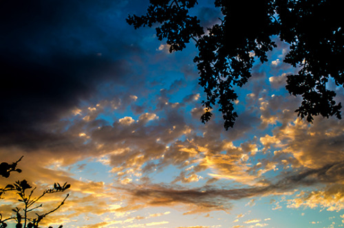 etherealphoto:Golden Strands (Australia) by Me