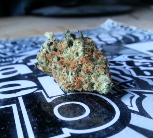 street–struck:Unknown strain@street–struck