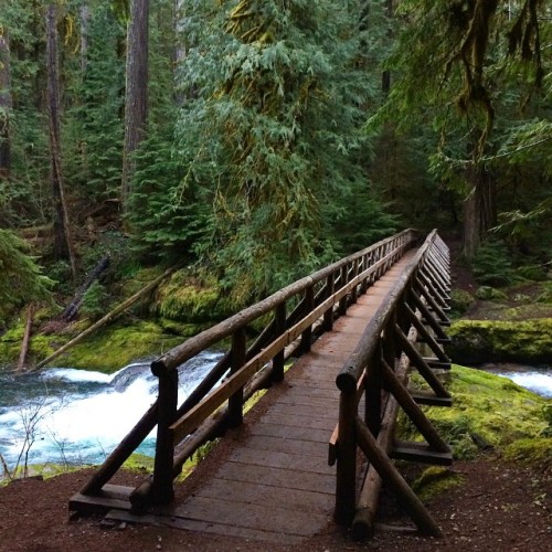 They’ve got good woodwork up here in Oregon.