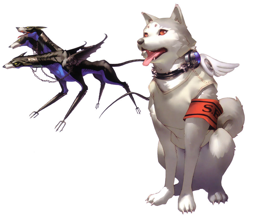 persona 3 koromaru dog breed