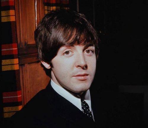 young paul mccartney on Tumblr