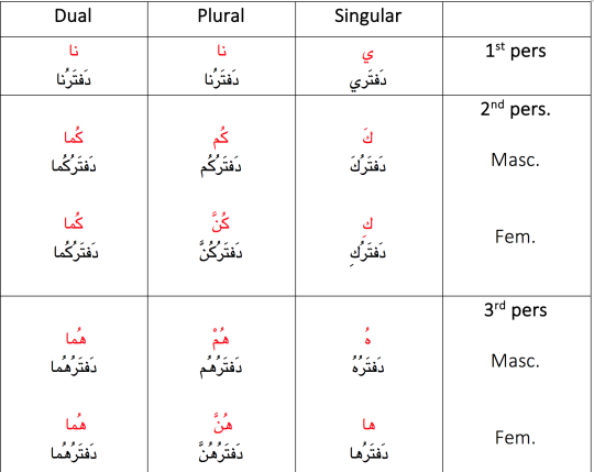 Possession In Arabic – Languages & Shooting Stars 🌠