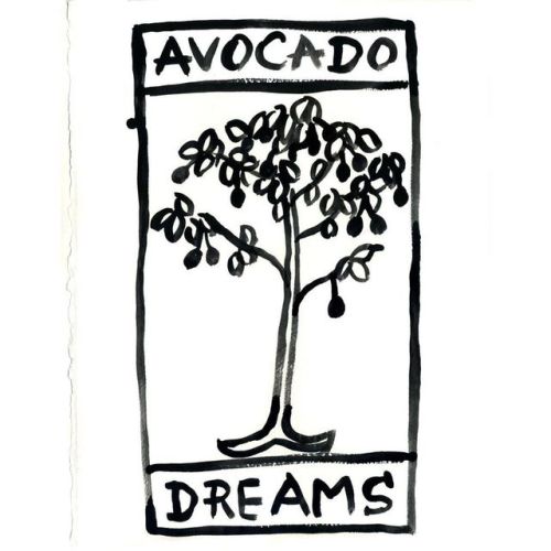 Avocado, raised from seed, became a tree with great...