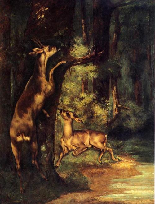 artist-courbet:Male and Female Deer in the Woods, Gustave...