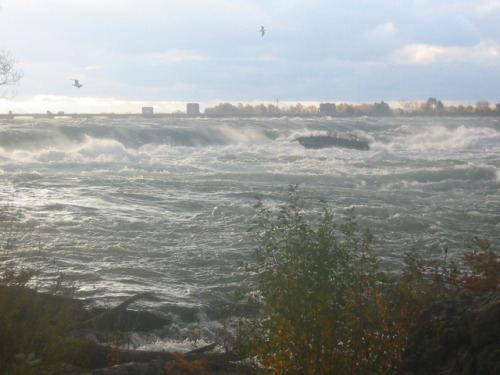 Upper Niagara River rapids after a heavy rain storm.