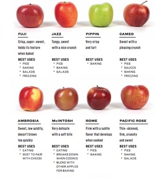 Apples To Apples Chart