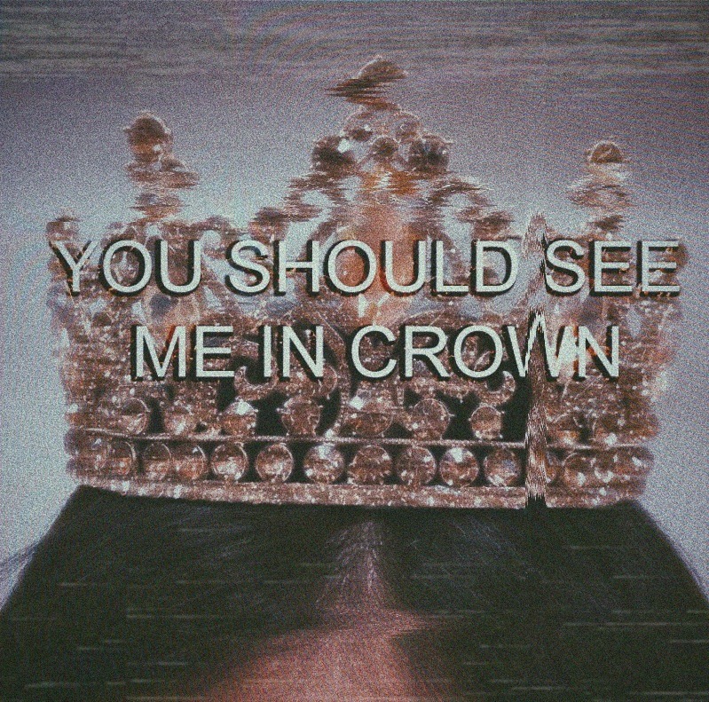 you should see me in a crown novel