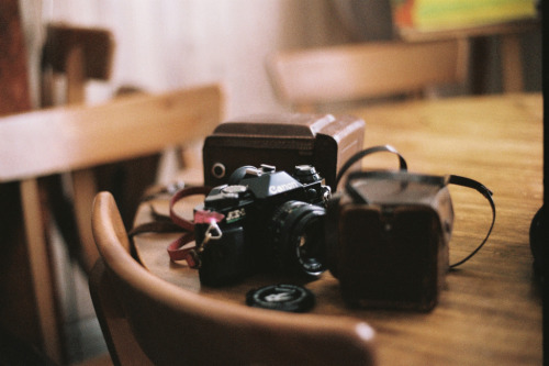 priveting:cameras by isabelle bertolini on Flickr.