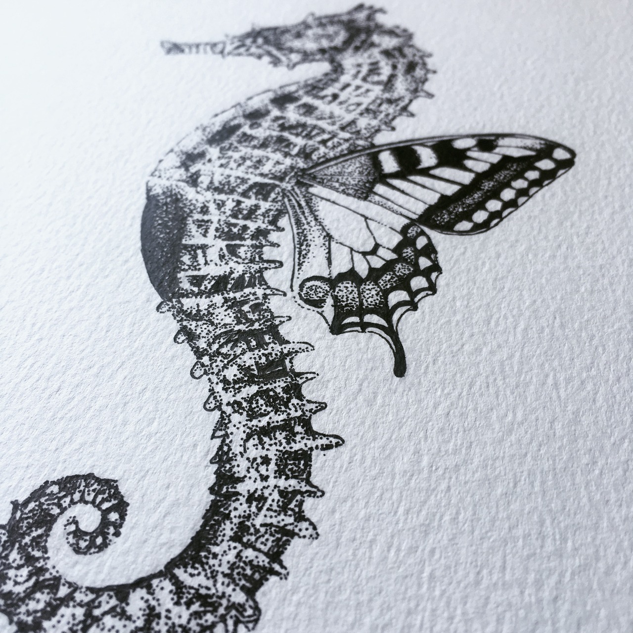 I love combining different elements together to create something a little bit mythical, as shown in this seahorse-butterfly illustration! _____________________________________________ Follow EatSleepDraw on Instagram for more inspiration!