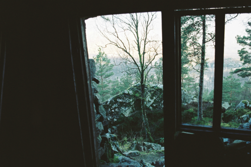 expressions-of-nature:by Torfinn Rosfjord“Morning...