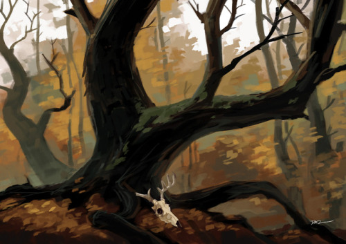 tohdraws:Forest Study Music: Jeremy Soule -The Northerner...