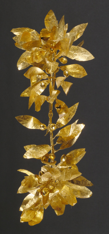 didoofcarthage:Gold wreath with detached stem including leaves...