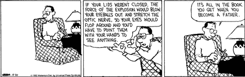 A 3-panel daily strip.
Panel 1: Calvin's Dad, sat on the couch and holding a book, stares at a blank space.
Panel 2: Calvin's Dad says 'IF YOUR LIPS WEREN'T CLOSED, THE FORCE OF THE EXPLOSION WOULD BLOW YOUR EYEBALLS OUT AND STRETCH THE OPTIC NERVE, SO YOUR EYES WOULD FLOP AROUND AND YOU'D HAVE TO POINT THEM WITH YOUR HANDS TO SEE ANYTHING.'
Panel 3: Calvin's Dad returns to his book and says 'IT'S ALL IN THE BOOK YOU GET WHEN YOU BECOME A FATHER.'