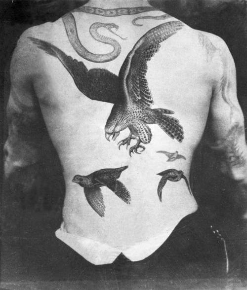 By Sutherland Macdonald, done at Tattoo: British Tattoo Art... animal;back;big;bird;eagle;facebook;sutherland macdonald;twitter