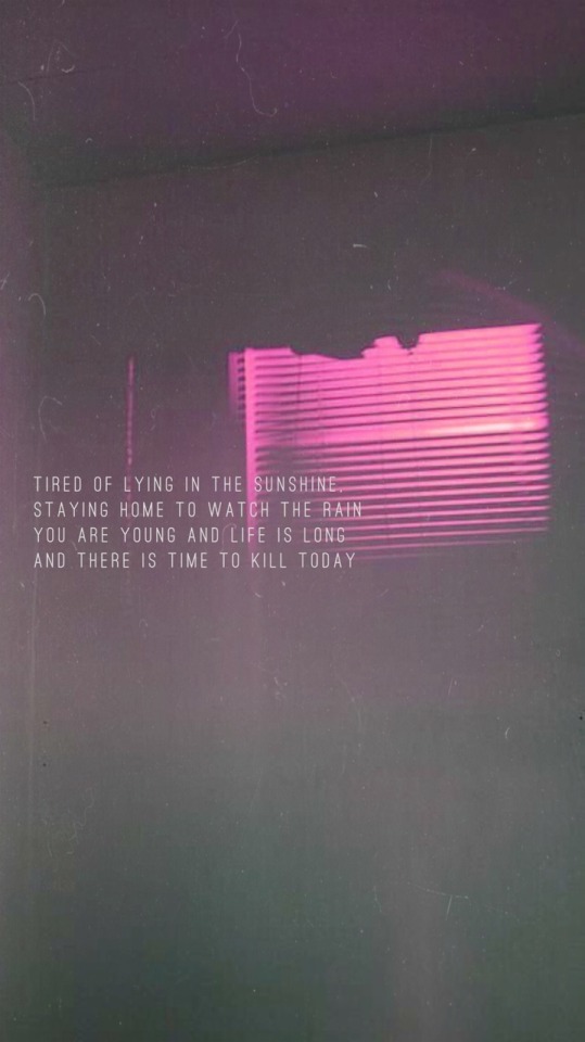 Pink Floyd Lyrics Tumblr