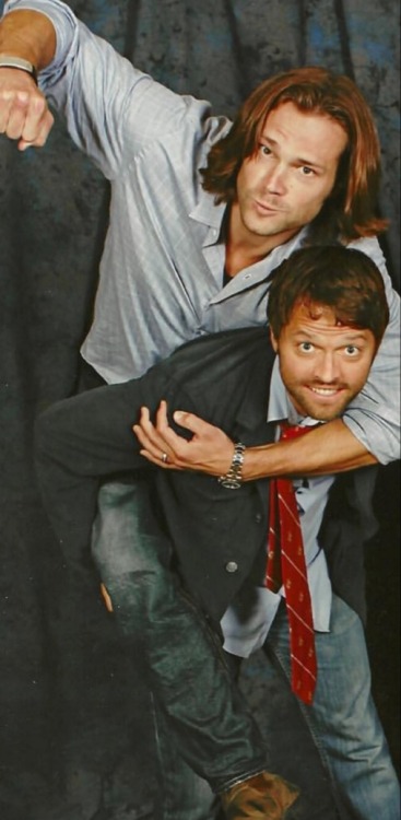 assbuttbusiness:Mishalecki VS Cockles