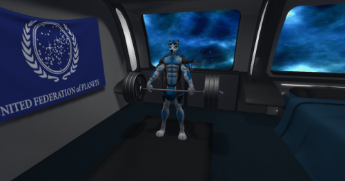 Starfleet Admiral Shadow morning workout - 1