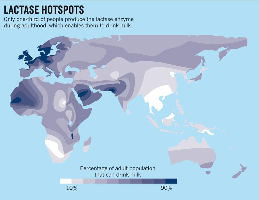 World map of Lactose Tolerance/Intolerance Maps on the 