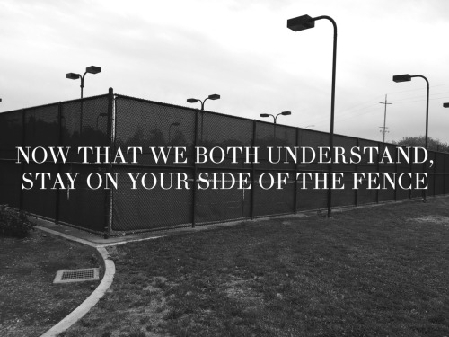 tatsandpussycats:fences | knuckle puck