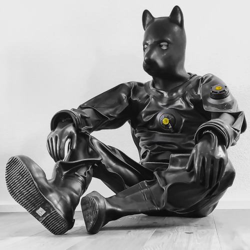 viking drysuit rubber drysuit rubber diver viking drysuit rubberdiver rubber diver puppy puppy play gloves rubber gloves rubbersuit rubber hood gayguy gay dive gay man men at play ansell drone rubberdog rubber drone rubber play hazmat hazmat suit