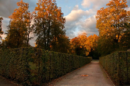 jadatz:Scenes around Potsdam at sunset in October 2009. Photos...